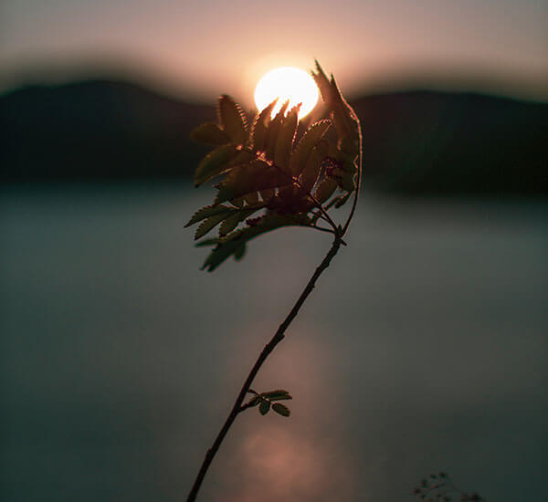 Beautiful photograhpy in California LASIK and Eye